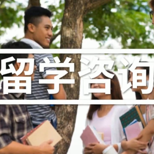   2026年国际学校择校指南（如何挑选合适的学校）