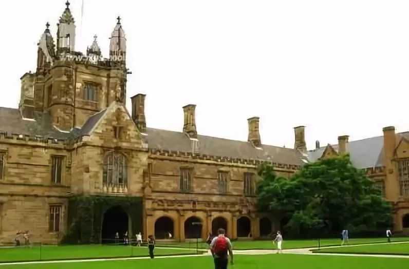   美国四大热门商科专业分别学什么？