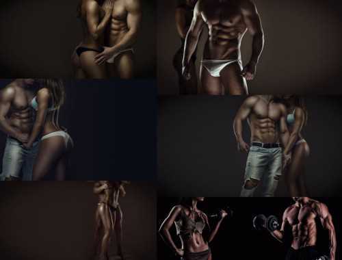   新手入门健美5指导