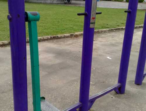   乳清蛋白粉其他的营养功效