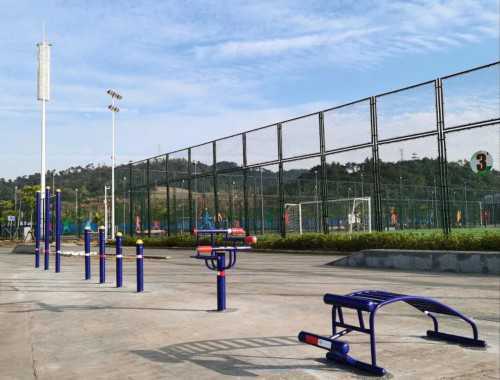   健身运动前可适量吃菠菜