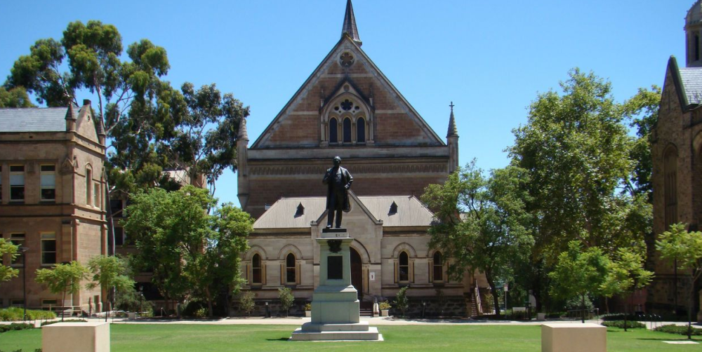   履约保证金和违约金性质和功能