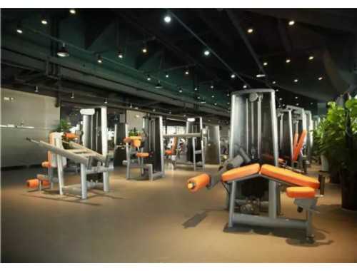   瑜伽球入门基本动作大全