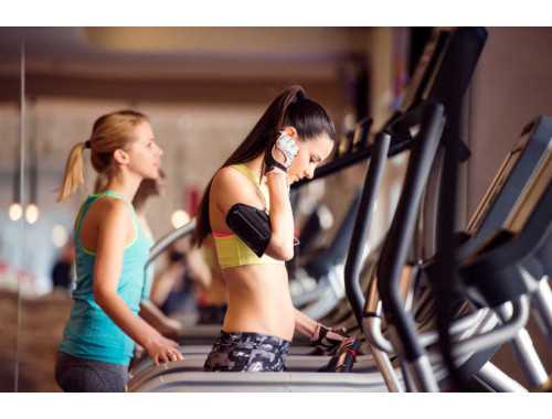   坐姿腿屈伸锻炼部位是哪里