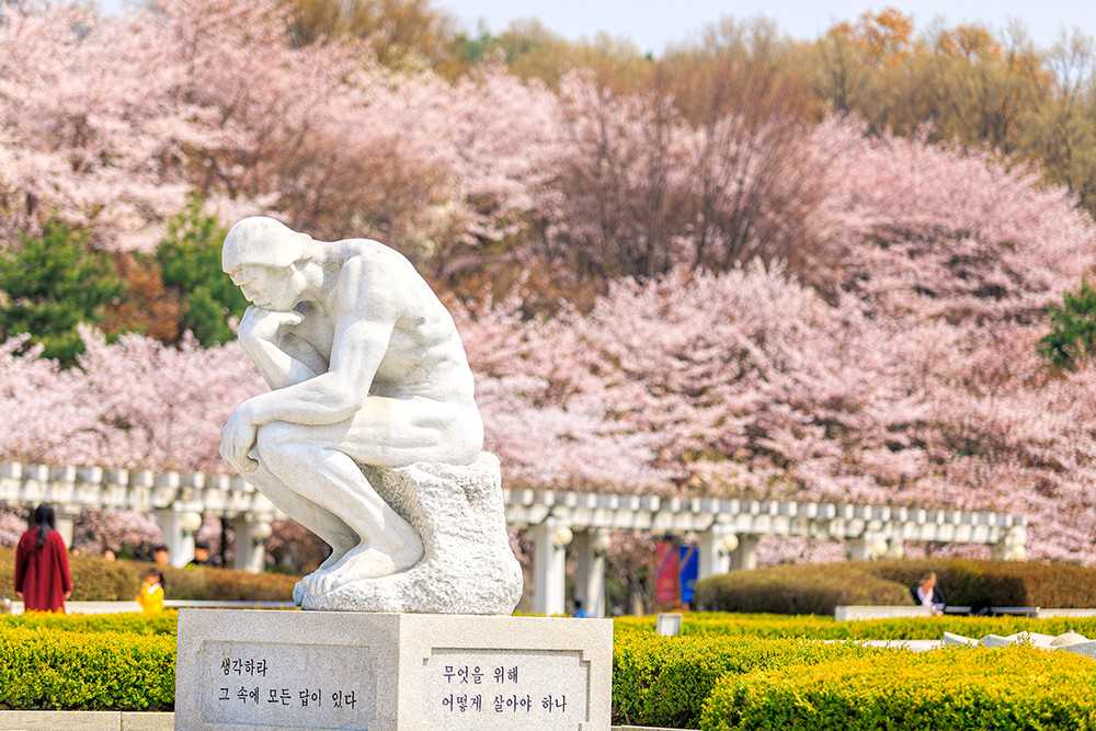 更好的网课体验！实用的国际网课工具App推荐