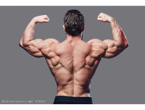 标准的犁式瑜伽动作讲解