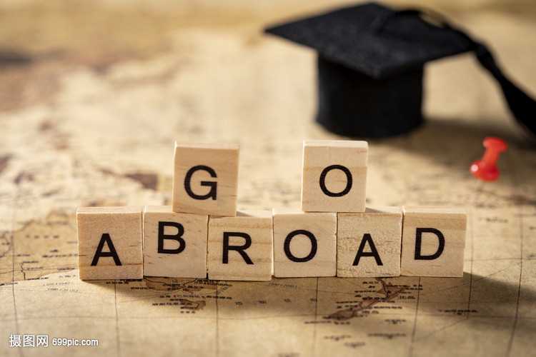 篮球爱好者弹跳力训练计划